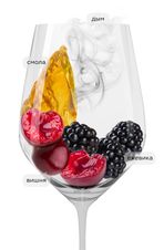 Вино Vigorello, (131247), красное сухое, 2017 г., 0.75 л, Вигорелло цена 8990 рублей