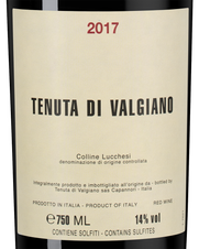 Вино Tenuta di Valgiano, (143291), красное сухое, 2017 г., 0.75 л, Тенута ди Вальджиано цена 21490 рублей