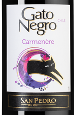 Вино Gato Negro Carmenere, (145923), красное полусухое, 2023, 0.75 л, Гато Негро Карменер цена 990 рублей