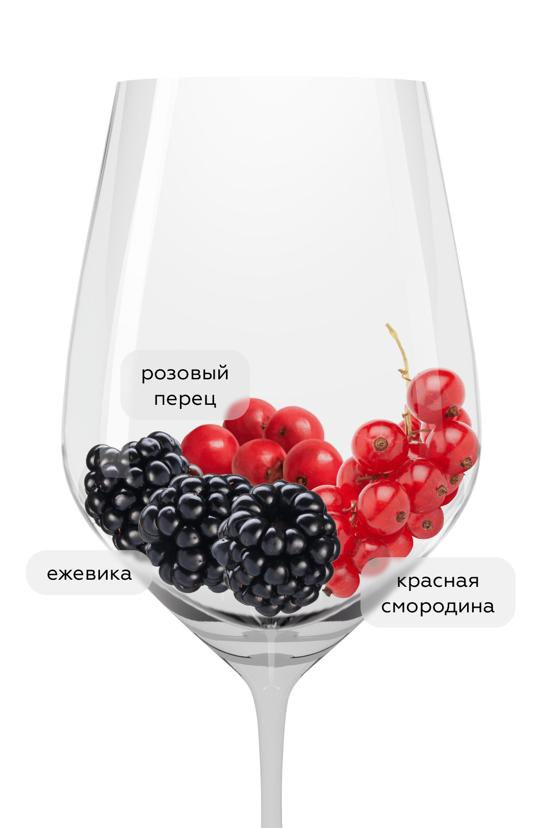 Вино Cellar Selection Carmenere, Santa Carolina, 2022, (142245), Чили, Центральная Долина, красное, полусухое, 0.75 л, Селлар Селекшн Карменер, цена 1190 рублей