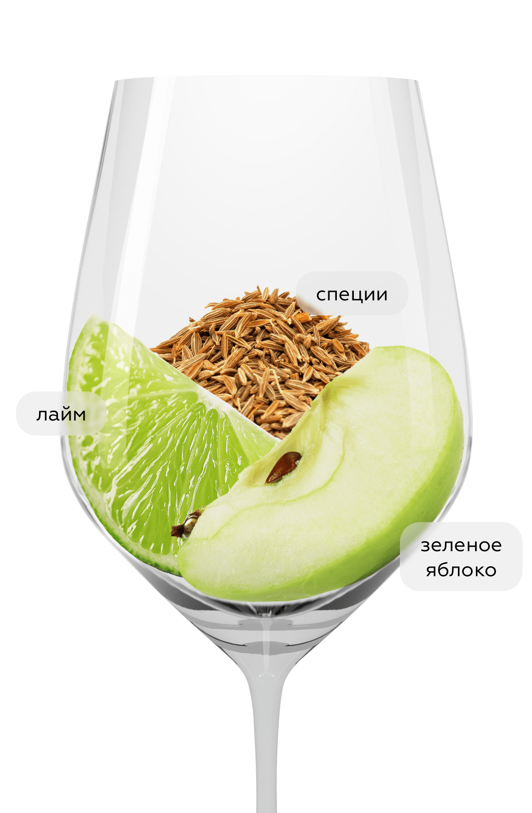 Вино Gruner Veltliner Sandgrube 13, Winzer Krems, 2023, (150711), Австрия, Нижняя Австрия, белое, сухое, 0.75 л, Грюнер Вельтлинер Зандгрубе 13, цена 4190 рублей