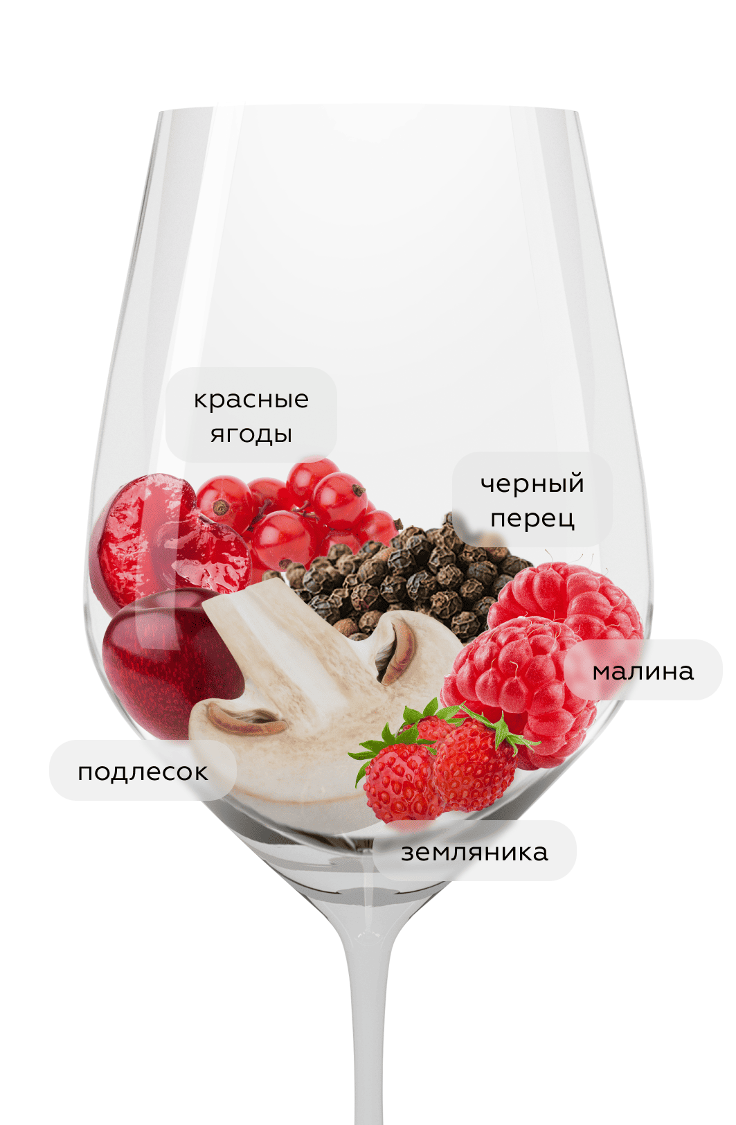 Вино Пино Нуар, Николаев и Сыновья, 2024, (160854), Россия, Кубань, красное, сухое, 0.75 л, Пино Нуар, цена 3990 рублей