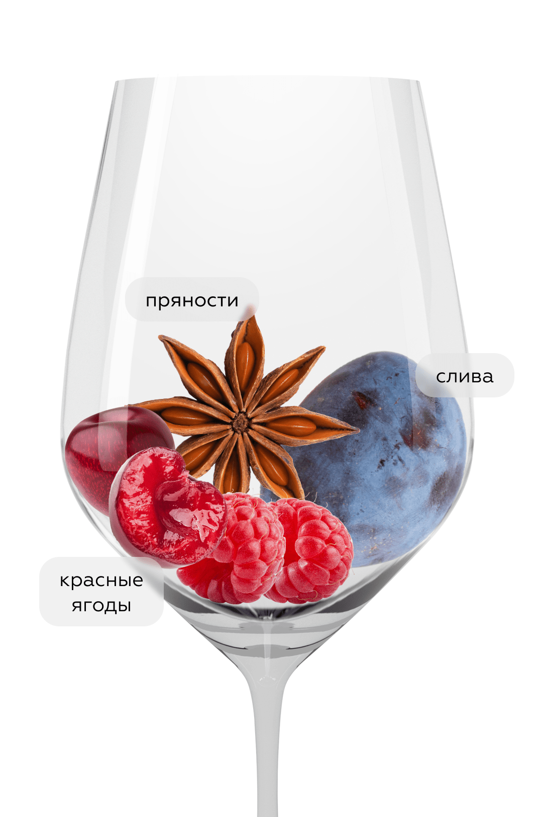 Вино Pinot Noir Tradition, Cave de Turckheim, 2023, (148589), Франция, Эльзас, красное, сухое, 0.75 л, Пино Нуар Традисьон, цена 3990 рублей