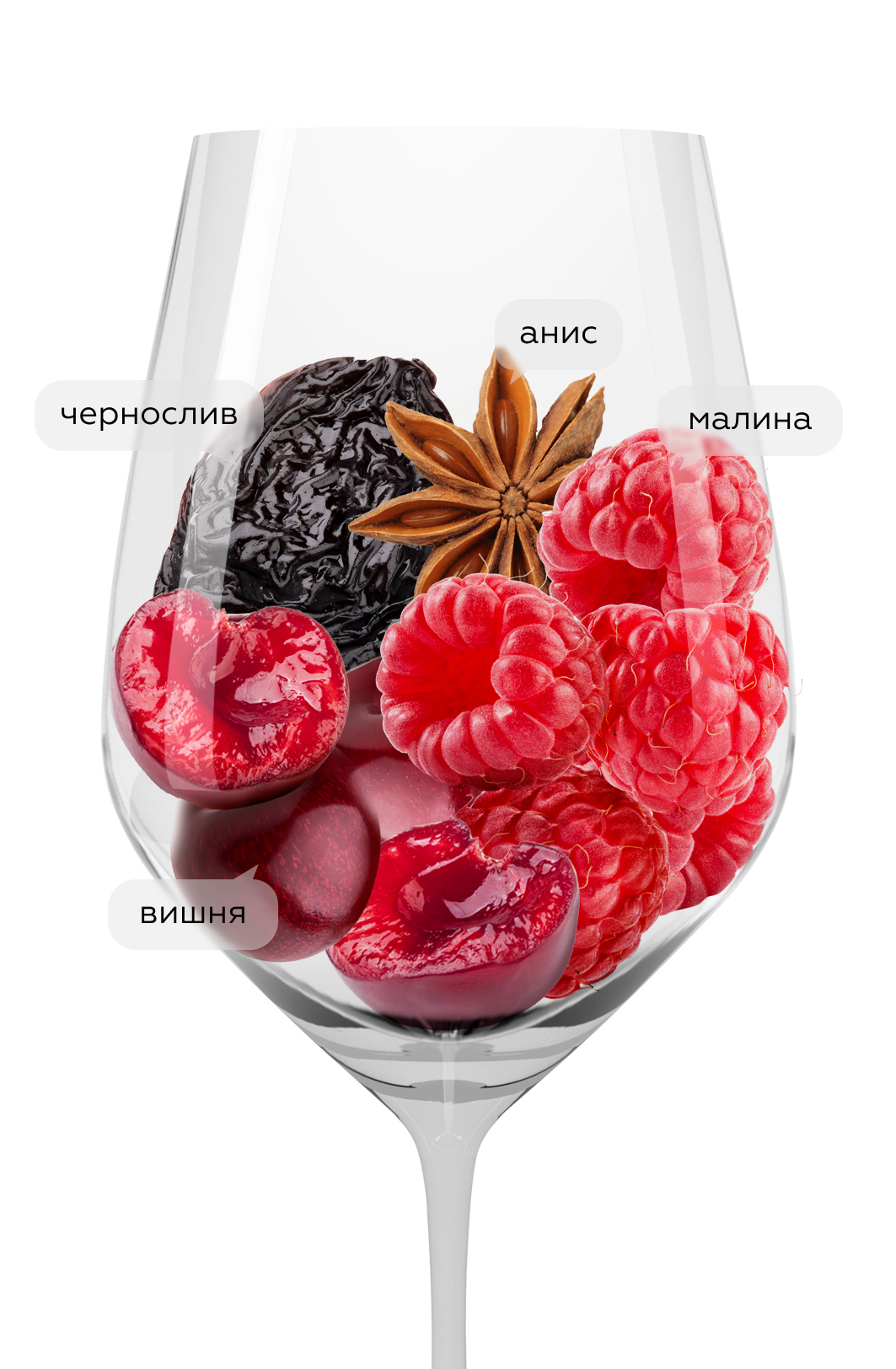 Вино Zinfandel, Conti Zecca, 2024, (157189), Италия, Апулия, красное, полусухое, 0.75 л, Зинфандель, цена 3190 рублей