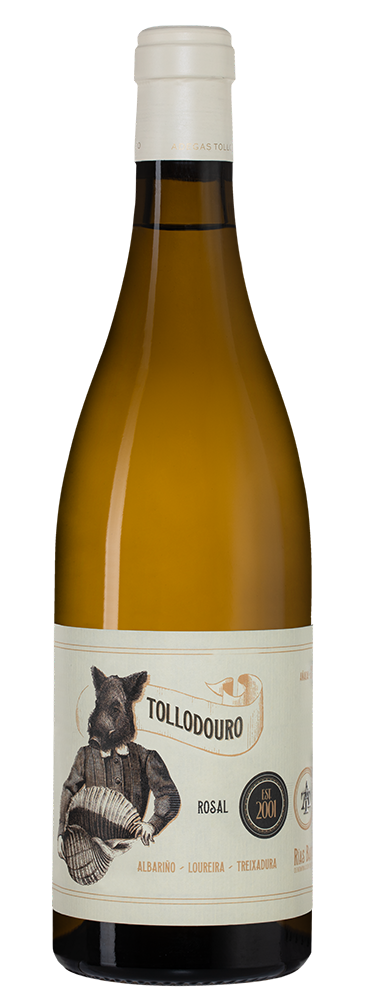 Вино Tollodouro, Bodegas Horacio Gomez Araujo, 2023, (154579), Испания, Галисия, белое, сухое, 0.75 л, Тольодоуро, цена 4490 рублей