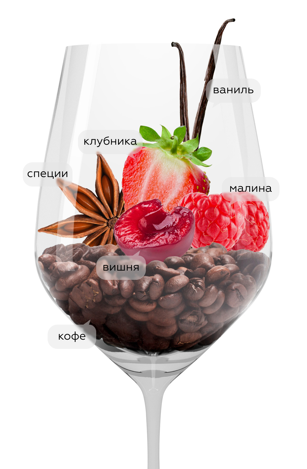 Вино Ginestet Medoc, Maison Ginestet, 2020, (135434), Франция, Бордо, красное, сухое, 0.75 л, Жинесте Медок, цена 3440 рублей