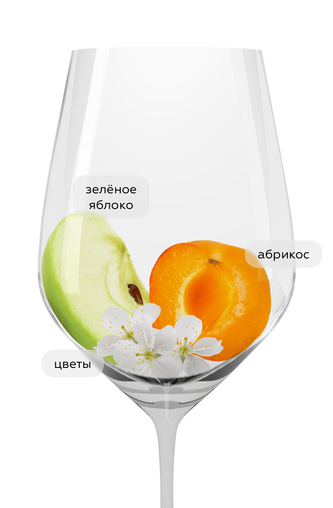 Вино Viamare Trebbiano Pinot Grigio, Cielo, 2024, (158247), Италия, Апулия, белое, полусухое, 0.75 л, Виамаре Треббьяно Пино Гриджо, цена 1390 рублей