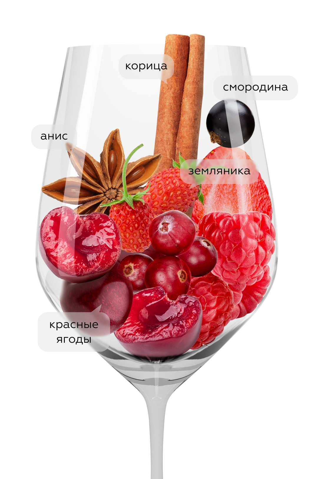 Вино Tenuta Frescobaldi di Castiglioni, 2019, (132410), Италия, Тоскана, красное, сухое, 0.75 л, Тенута Фрескобальди ди Кастильони, цена 5490 рублей