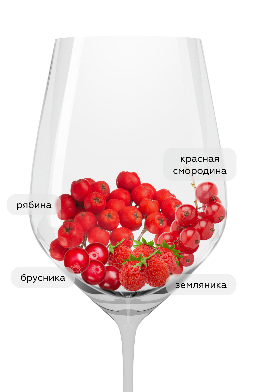 Вино Loco Cimbali Pinot Meunier, 2022, (144070), Россия, Крым, красное, сухое, 0.75 л, Локо Чимбали Пино Менье, цена 2090 рублей