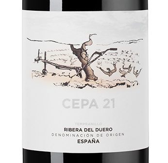 Вино Cepa 21, Bodegas Cepa 21, 2020, (143415), Испания, Кастилия и Леон, красное, сухое, 0.75 л, Рибера дель Дуэро Сепа 21, цена 6690 рублей