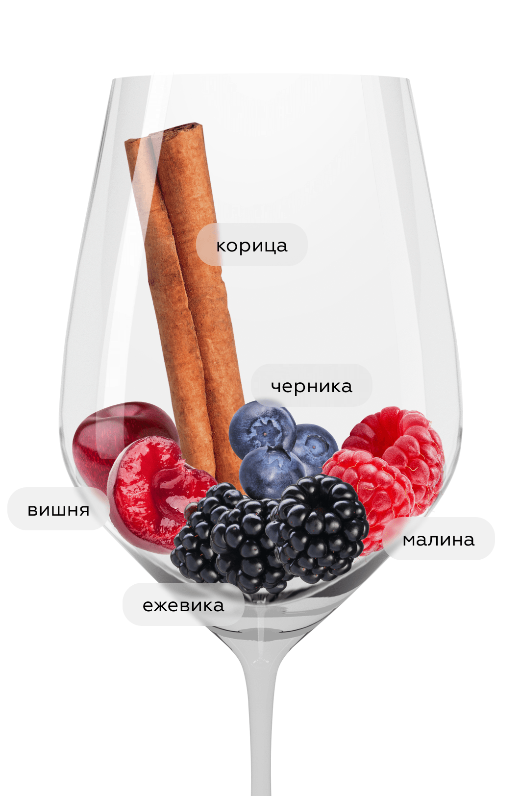 Вино Coteaux Bourguignons Rouge, Domaines Dominique Piron, 2021, (143340), Франция, Бургундия, красное, сухое, 0.75 л, Кото Бургиньон Руж, цена 3690 рублей