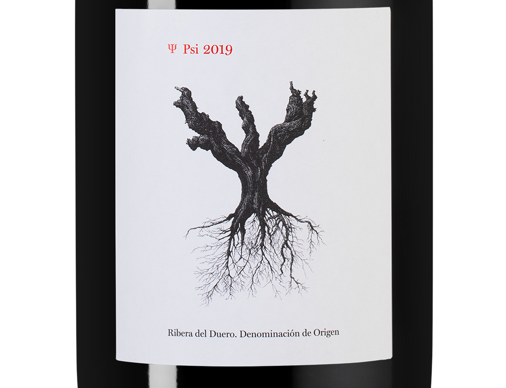 Вино PSI, Bodegas y Vinedos Alnardo, 2019, (134349), Испания, Кастилия и Леон, красное, сухое, 0.75 л, Пси, цена 7990 рублей