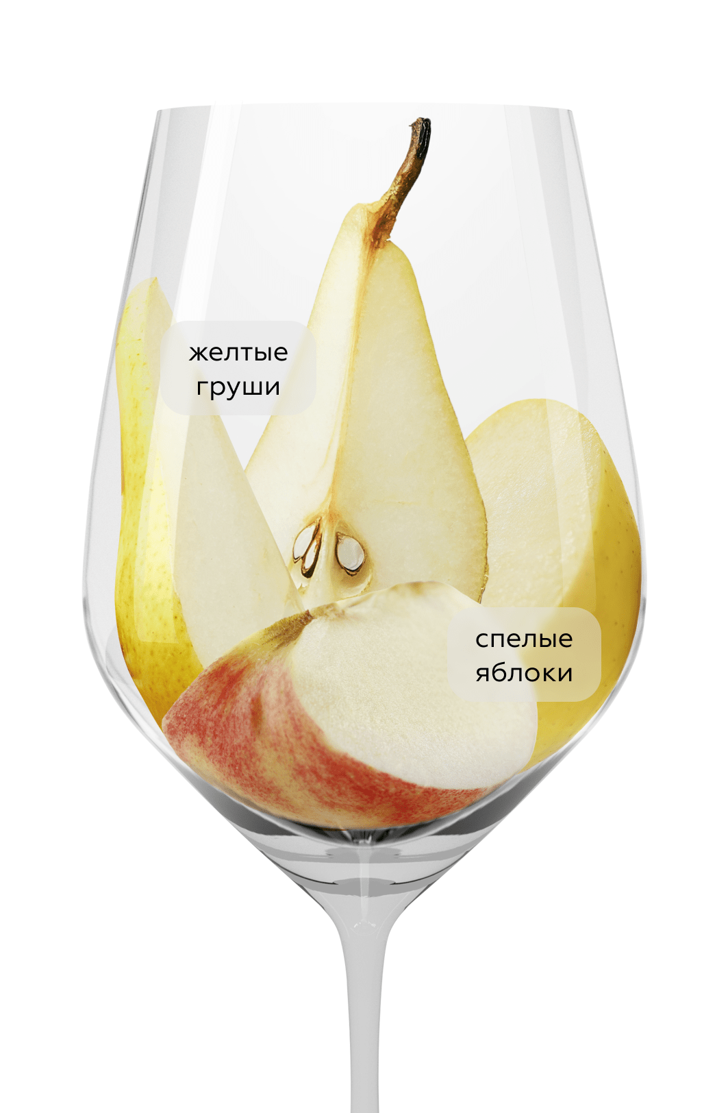 Вино Escherndorfer Silvaner, Horst Sauer, 2023, (150167), Германия, Франкония, белое, сухое, 0.75 л, Сильванер Эшерндорфер, цена 4990 рублей