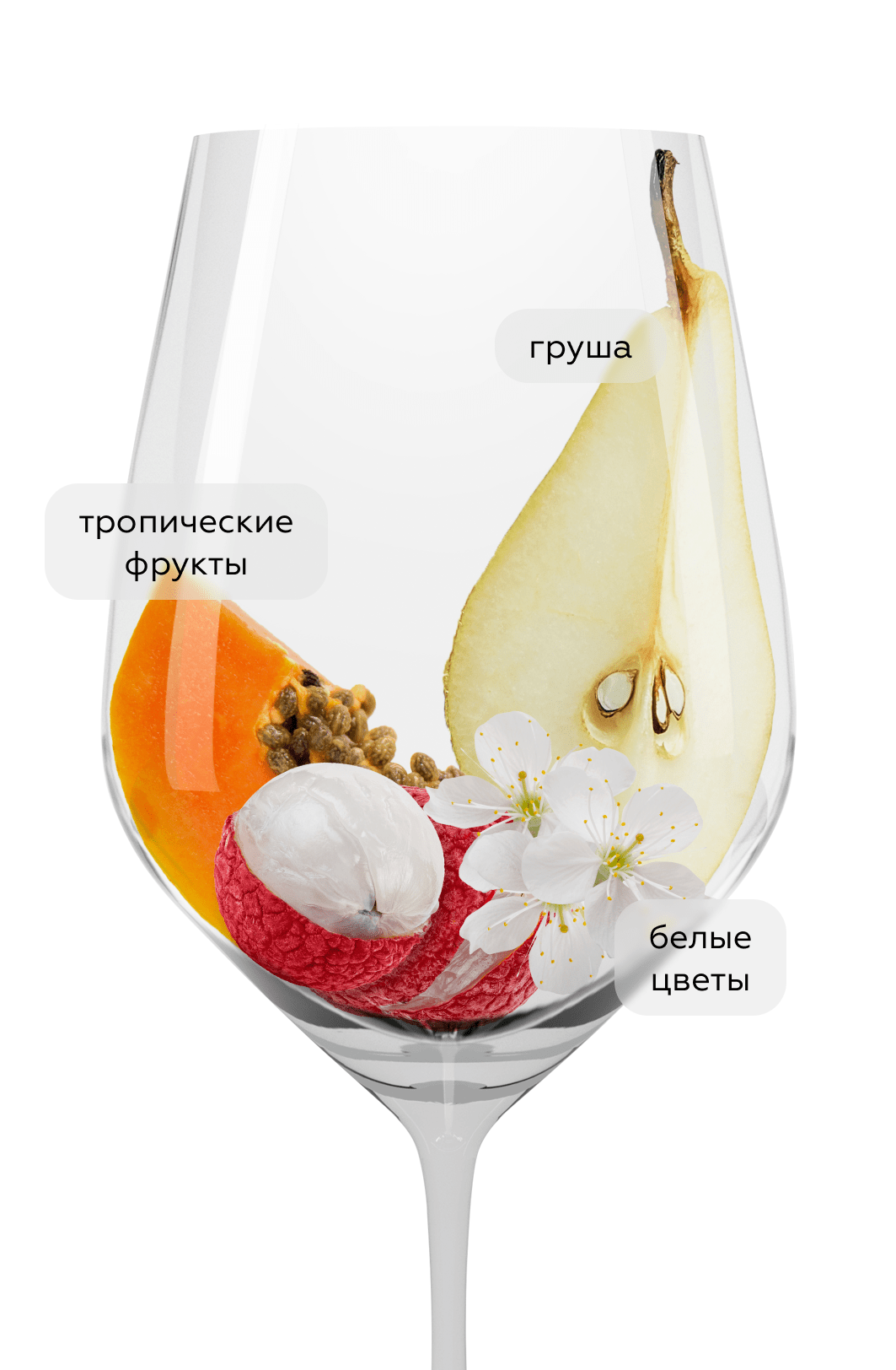 Вино Pinot Grigio, Domini Veneti, 2024, (151161), Италия, Венето, белое, полусухое, 0.75 л, Пино Гриджо, цена 2690 рублей