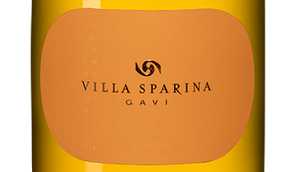 Вино с вкусом сухих пряных трав Gavi Villa Sparina