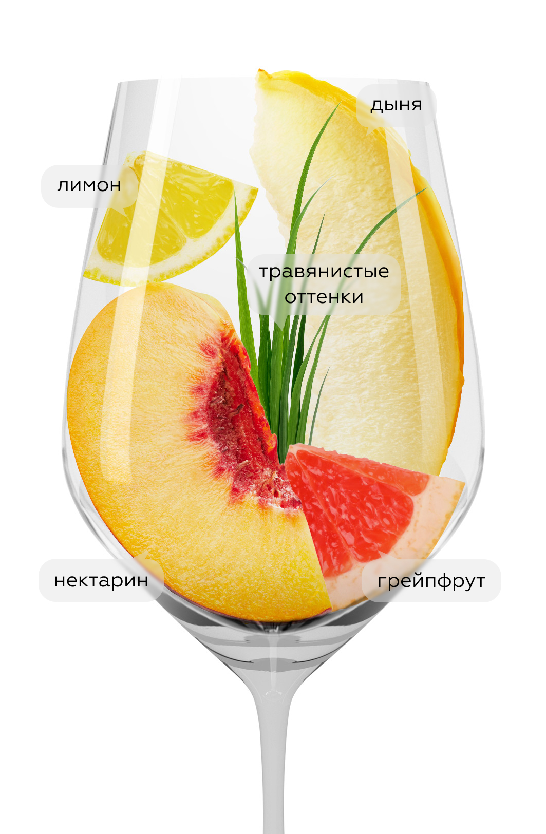 Вино Sauvignon Blanc Sunbird, Simonsig, 2022, (141066), Южная Африка, Стелленбош, белое, сухое, 0.75 л, Совиньон Блан Санберд, цена 2890 рублей