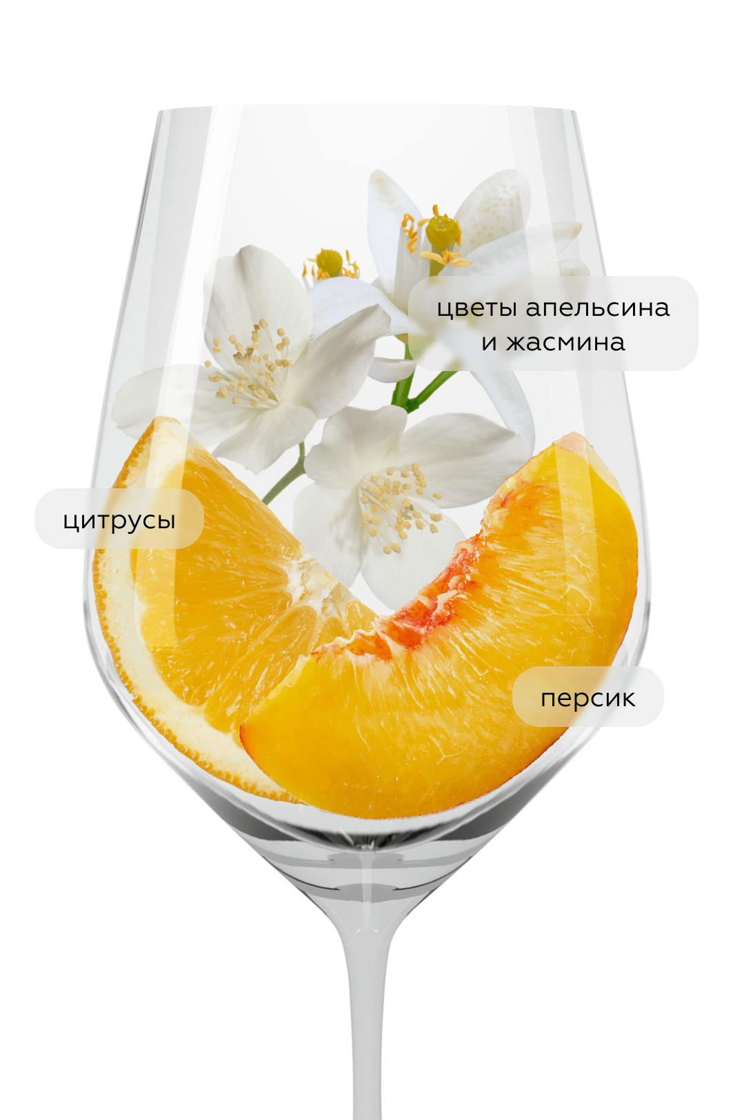 Вино Kabir, Donnafugata, 2023, (152847), Италия, Сицилия, белое, сладкое, 0.75 л, Кабир, цена 8990 рублей