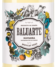 Вино Baluarte Muscat, (142216), белое полусухое, 2022 г., 0.75 л, Балуарте Мускат цена 1640 рублей