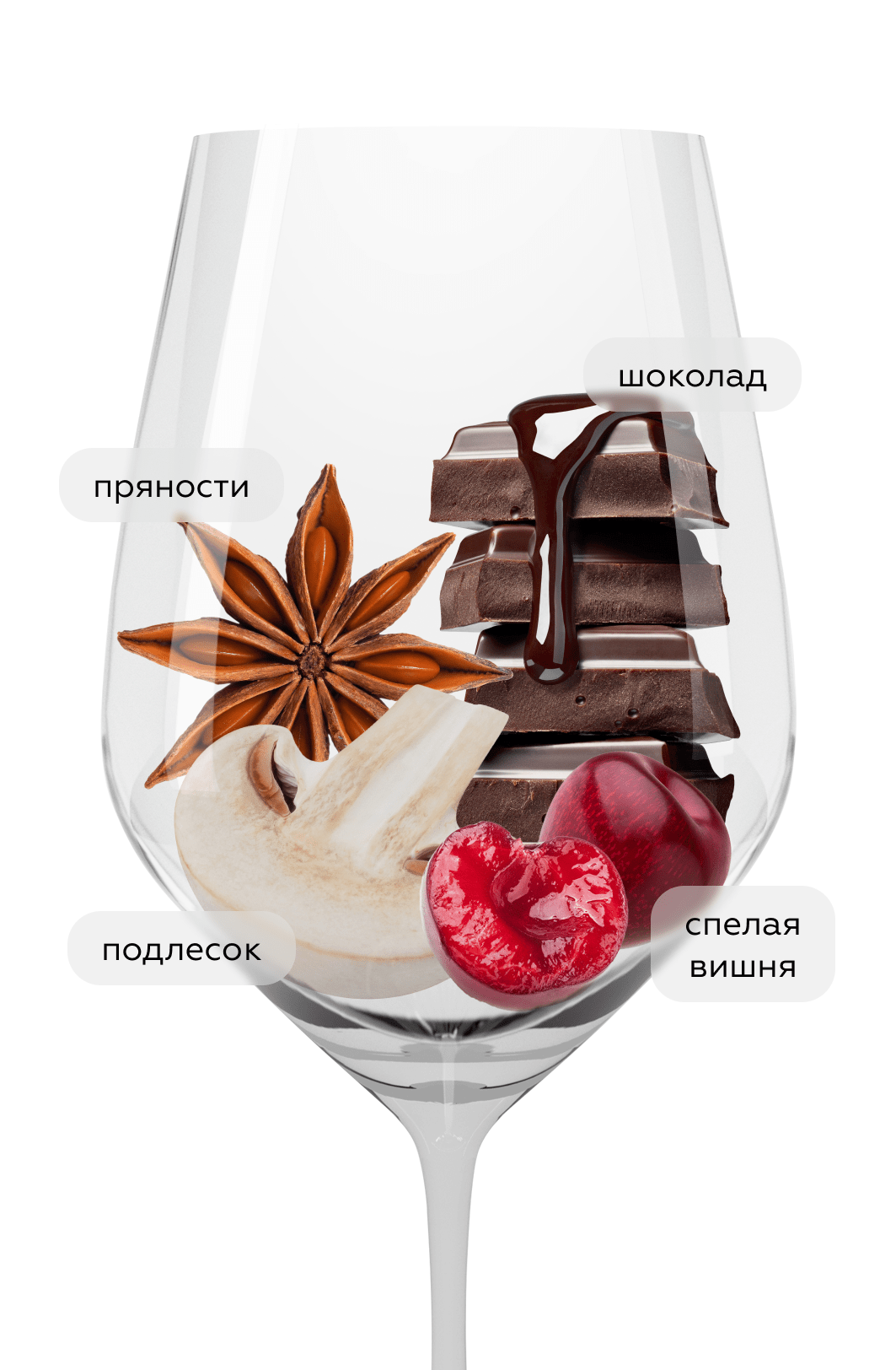 Вино Valpolicella Ripasso, Bertani, 2023, (158162), Италия, Венето, красное, полусухое, 0.75 л, Вальполичелла Рипассо, цена 4490 рублей