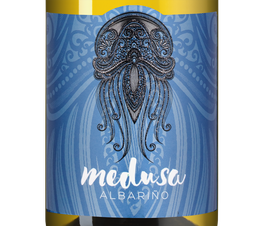 Вино Medusa Albarino, (149080), белое сухое, 2023, 0.75 л, Медуса Альбариньо цена 2640 рублей