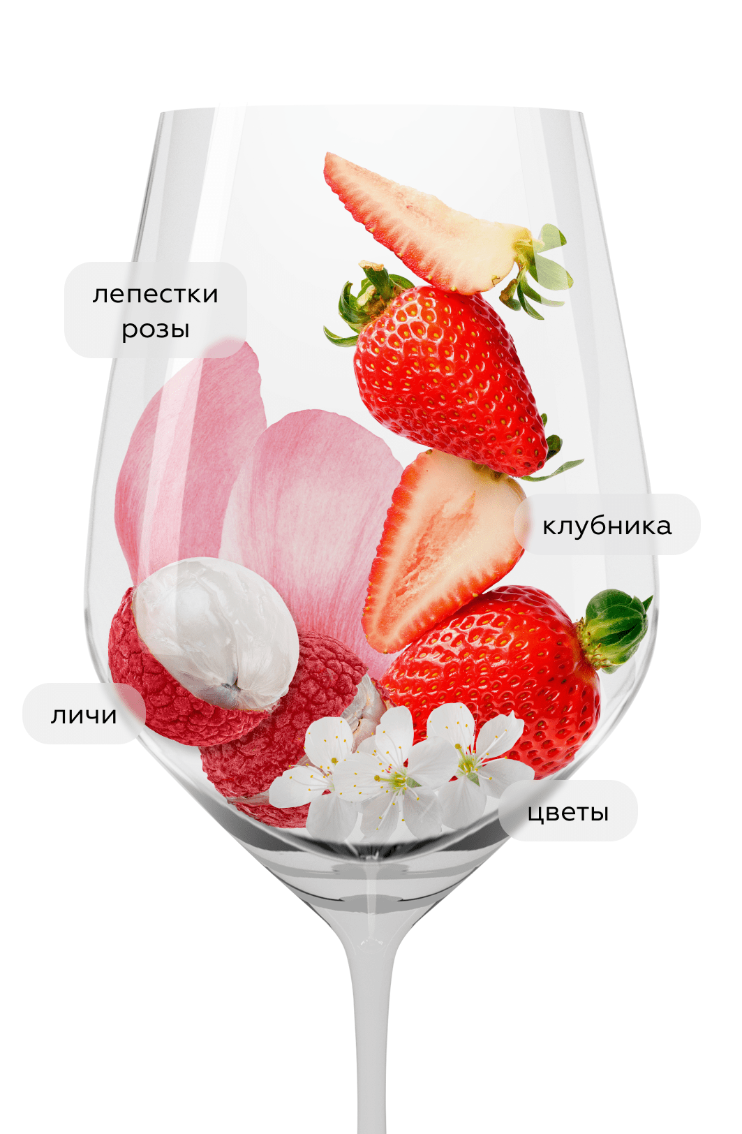 Игристое вино Ritmo Latino Rose Brut, Vina San Pedro, (149644), Чили, Кокимбо, розовое, брют, 0.75 л, Ритмо Латино Брют Розе, цена 1253 рублей