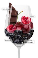Вино Valpolicella Ripasso Valpantena, (148543), красное полусухое, 2021 г., 0.75 л, Вальполичелла Рипассо Вальпантена цена 4190 рублей