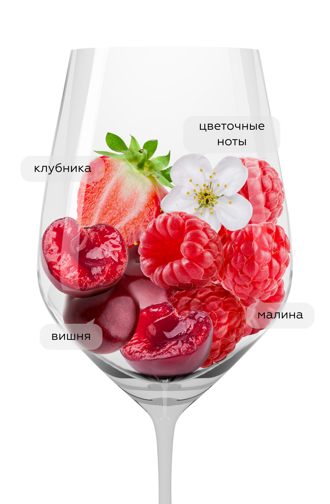 Вино Barbera d’Asti Leradici, Mauro Molino, 2022, (146556), Италия, Пьемонт, красное, сухое, 0.75 л, Барбера д'Асти Лерадичи, цена 4490 рублей