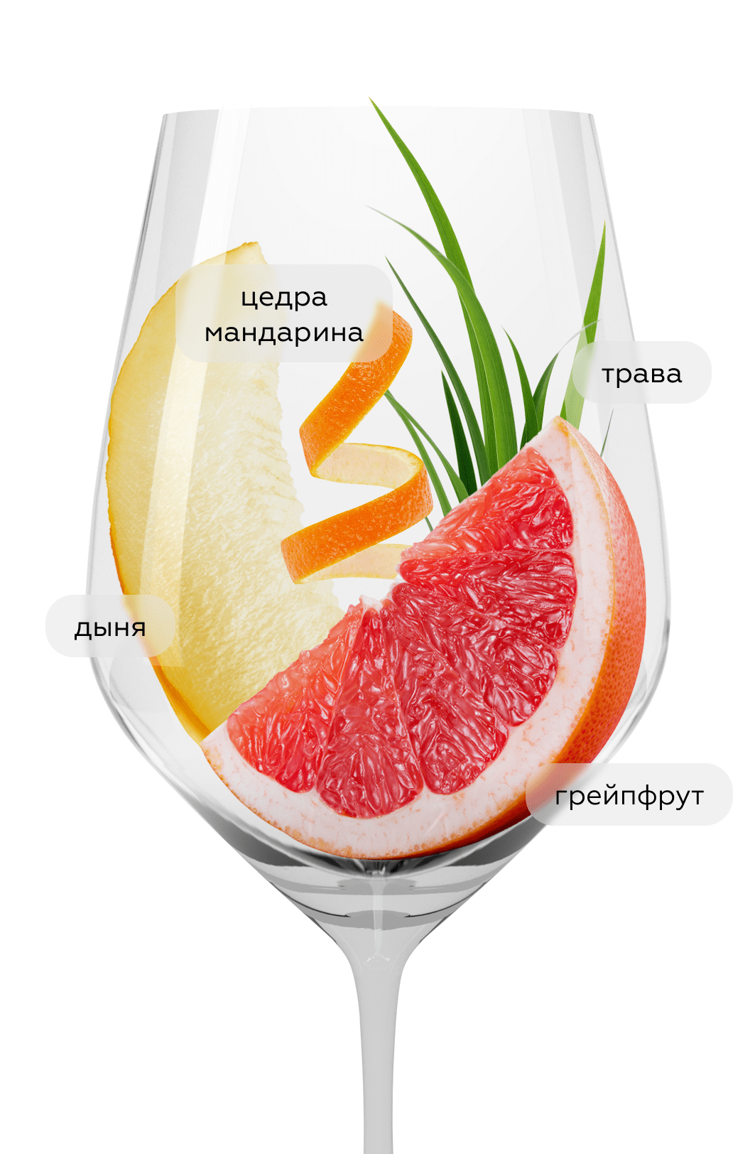 Вино Sauvignon Blanc Estate Series, Errazuriz, 2023, (147682), Чили, Аконкагуа, белое, сухое, 0.75 л, Совиньон Блан Эстейт Сериез, цена 1743 рублей