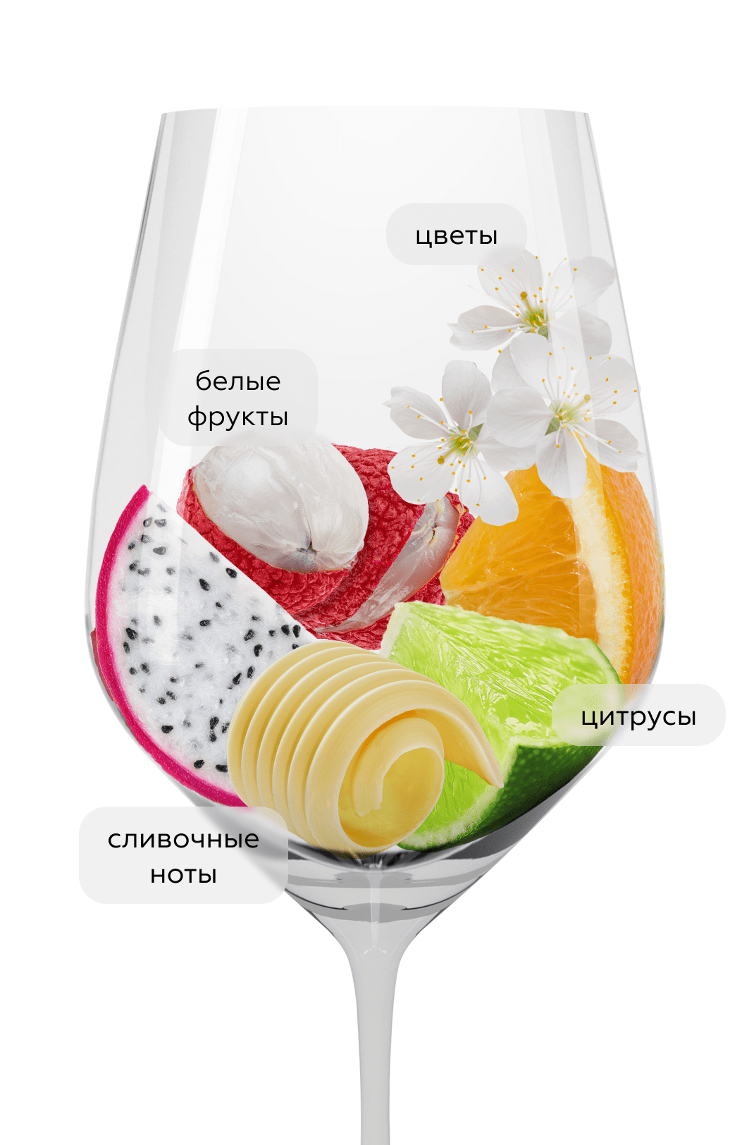 Игристое вино Cremant de Bourgogne Extra Brut, Andre Delorme, (158881), Франция, Бургундия, белое, экстра брют, 0.75 л, Креман де Бургонь Экстра Брют, цена 2793 рублей