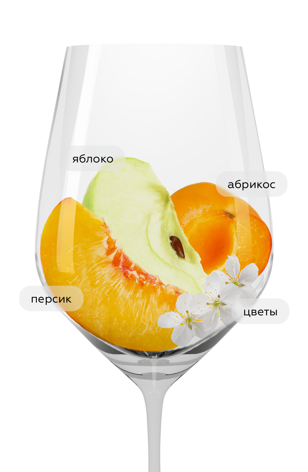 Вино Villa Solais, Santadi, 2024, (154081), Италия, Сардиния, белое, сухое, 0.75 л, Вилла Солаис, цена 3290 рублей