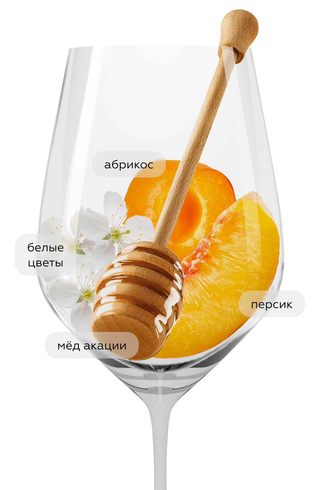 Вино Cotes du Rhone Blanc, Guigal, 2022, (143433), Франция, Долина Роны, белое, сухое, 0.75 л, Кот дю Рон Блан, цена 2768 рублей