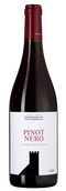 Pinot Nero (Blauburgunder)