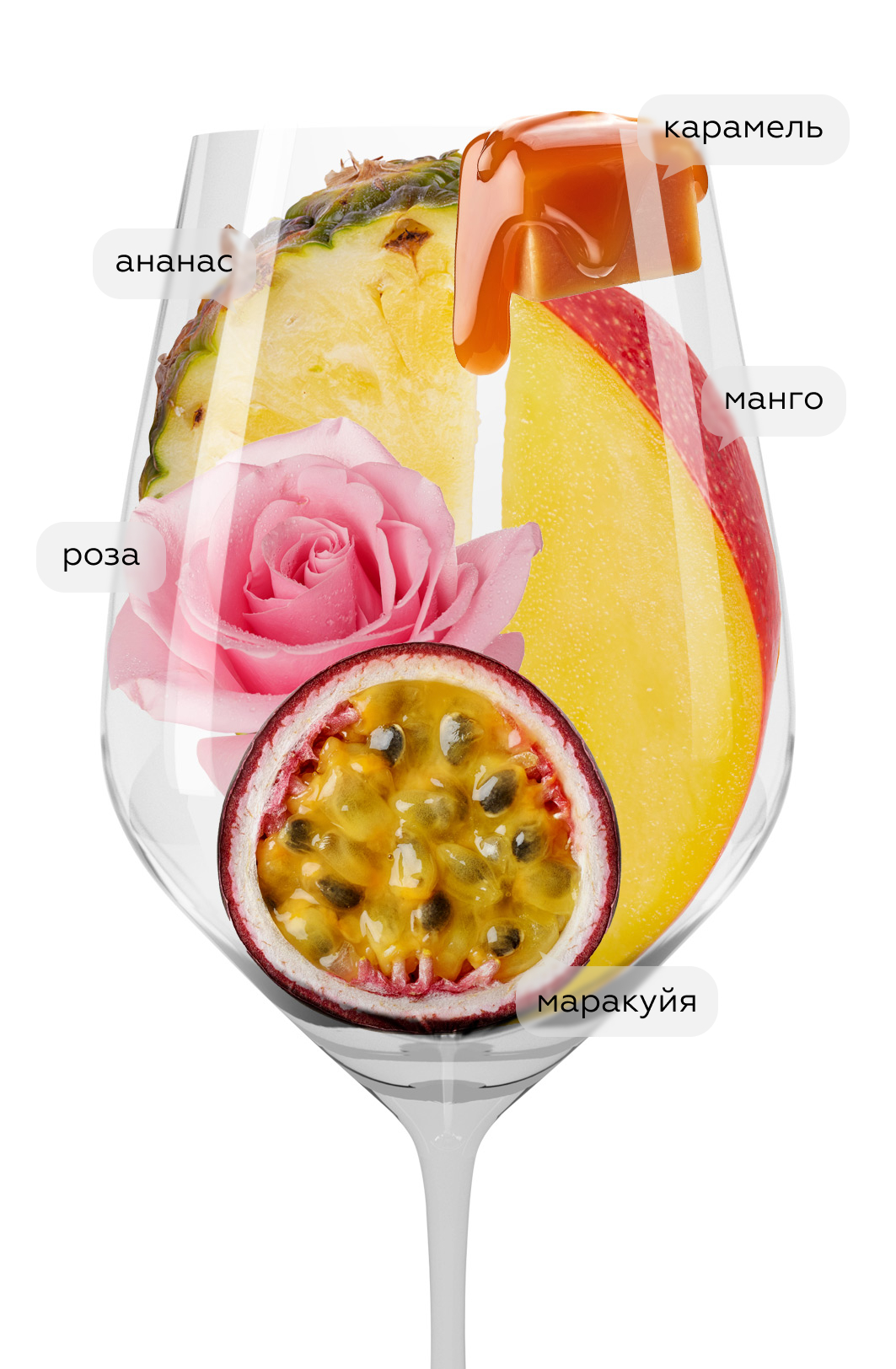 Игристое вино Moscato d'Asti, Vietti, 2025, (158638), Италия, Пьемонт, белое, сладкое, 0.75 л, Москато д'Асти, цена 5490 рублей