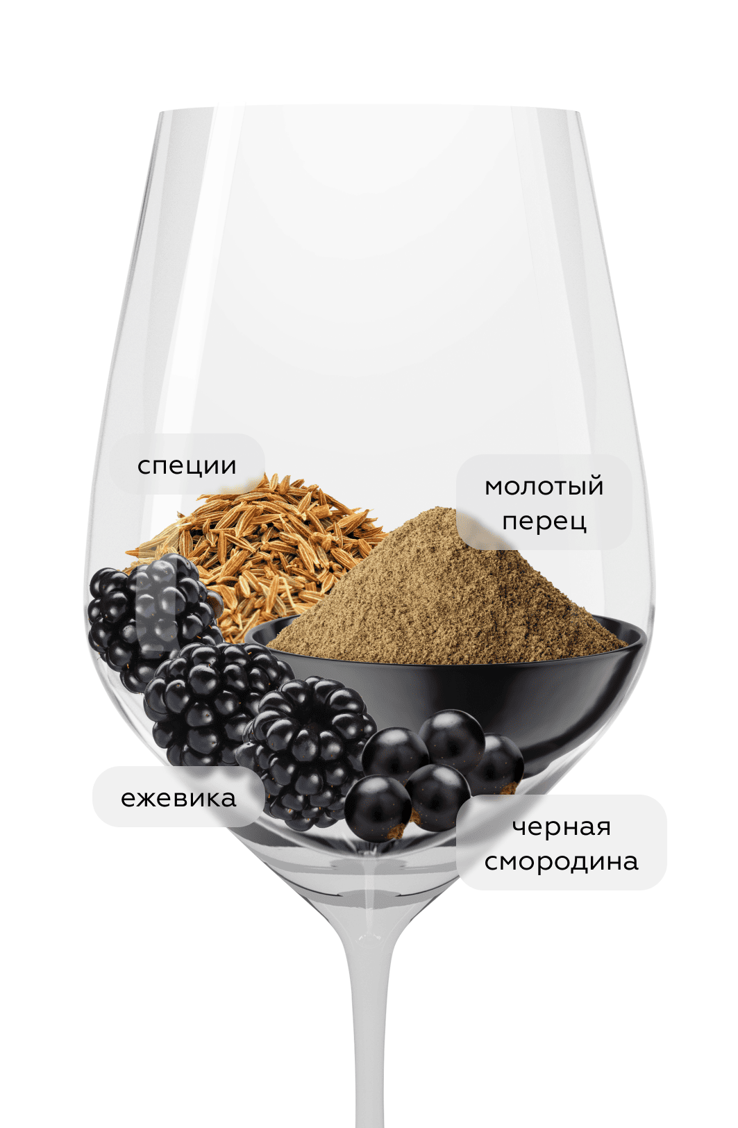 Вино Le Grand Noir Cabernet Sauvignon, 2021, (140380), Франция, Лангедок-Руссильон, красное, полусухое, 0.75 л, Ле Гран Нуар Каберне Совиньон, цена 1790 рублей